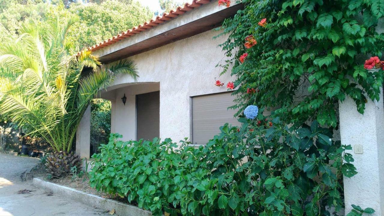 사브로사 Casa Deus 빌라 외부 사진